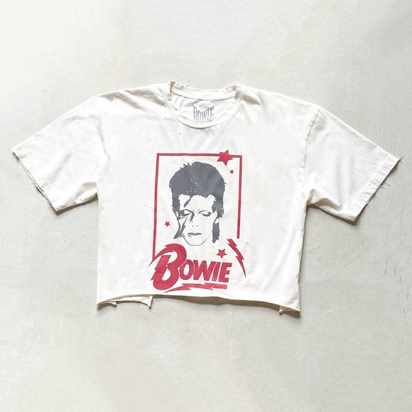 David Bowie Tops - David Bowie Aladdin Sane Destroyed Retro Wash Raw Cropped Graphic Band Tee Crop